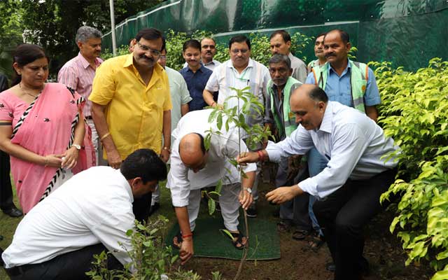 Rajnath Singh plants Rudraksh sapling at his residence 
