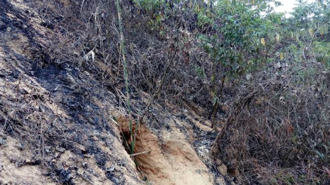 BSF detected tunnel near Indo-Bangladesh boder in Meghalaya