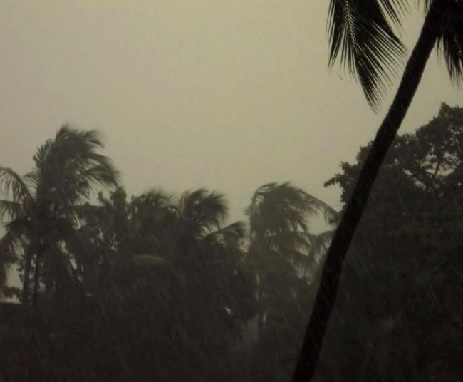 West Bengal: Major storm hits parts of Malda, 2 killed