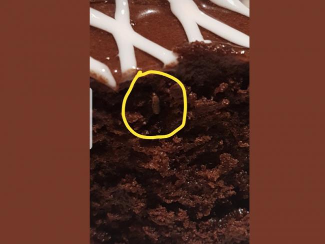 IKEA regrets for serving cake in which insect was found