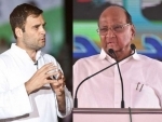 Post BJP defeat in UP, Rahul Gandhi meets Sharad Pawar