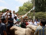 Rahul Gandhi holds bullock cart protest in Kolar, Karnataka, against rising fuel prices
