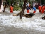 Bringing relief rains subside in flood-hit Kerala