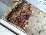 Arunachal Pradesh: Three people injured in leopard attack