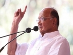 Rahul Gandhi keen to 'learn and understand' issues, 'achhe din' for Congress: Sharad Pawar