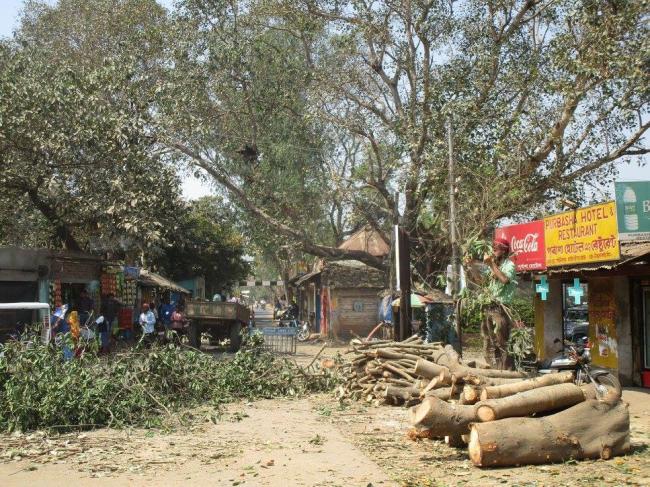 West Bengal: TMC accused of assaulting Visva Bharati students who protested against cutting of trees 