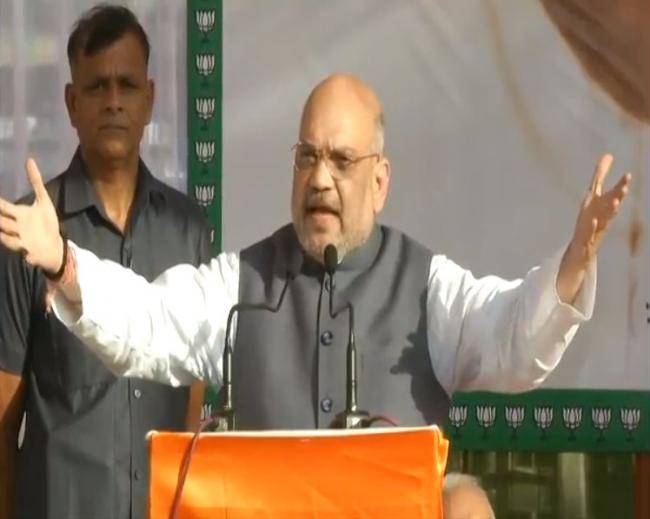 BJP more interested to see Kashmir's development: Amit Shah