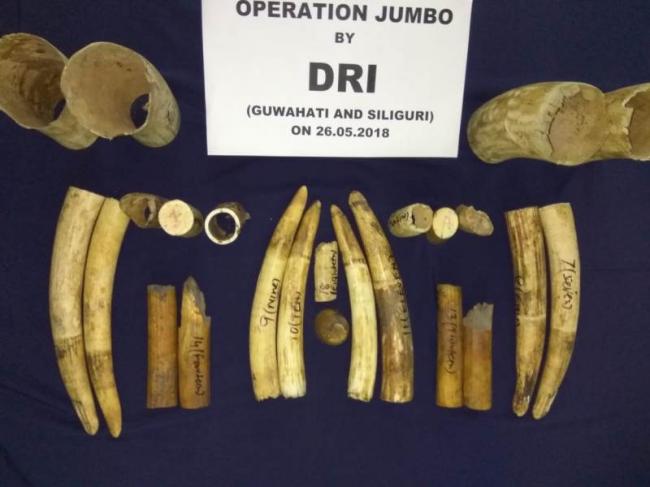 Assam: DRI seizes 24 pieces of ivory at Guwahati railway station
