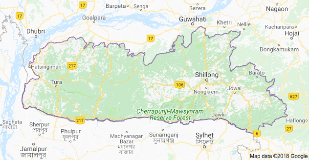 BSF seizes 50 cattle in Meghalaya along Indo-Bangladesh border