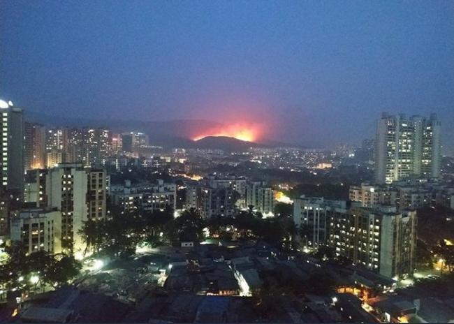 Fire in Mumbai forest; doused before reaching residential areas