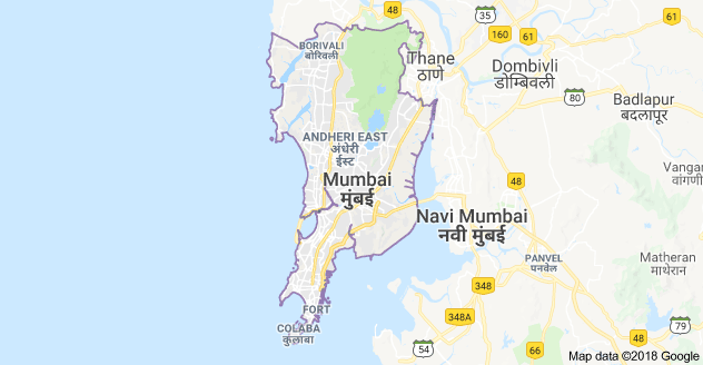 Fire breaks out in Mumbai's Reay Road area, no casualties