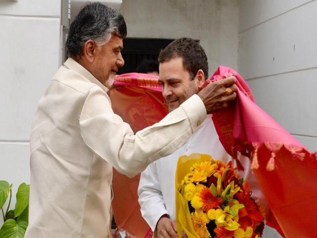 Rahul Gandhi meets Chandrababu Naidu, vows to work with TDP to defeat BJP