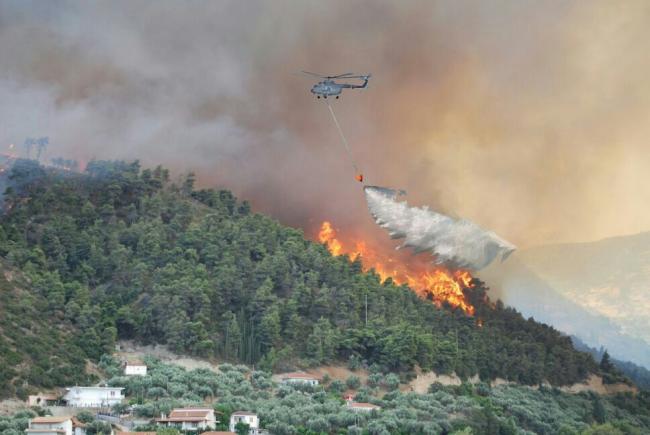 Tamil Nadu forest fire: Death toll rises to nine