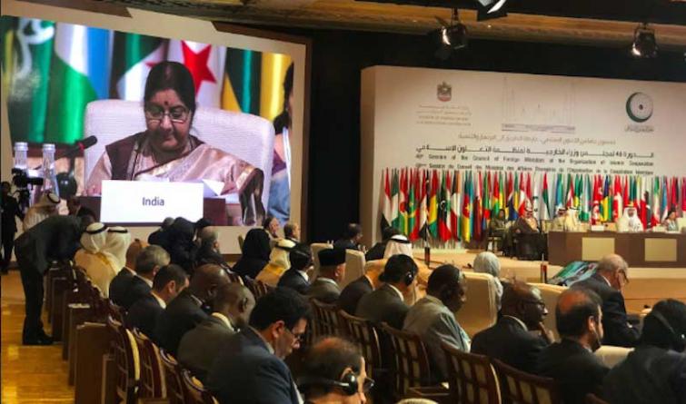 At OIC, India builds pressure on Pakistan for helping terrorists