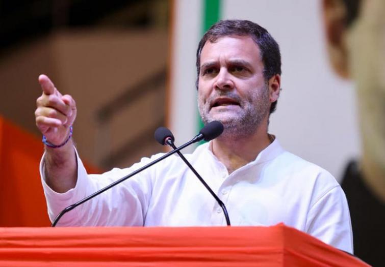 Rahul questions timing of ED action against Sharad Pawar, says NCP chief victim of vindictive government