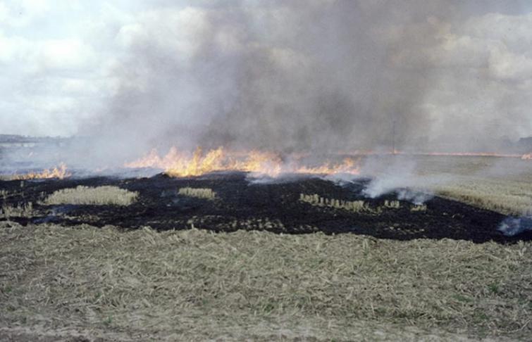 Twenty-eight farmers fined in Fatehgarh Sahib for stubble burning