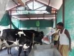 Two Assam cabinet ministers start cow farm inside their official residence