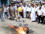 Hindu Munnani, BJP cburn effigy of Kamal Haasan for â€˜Hindu terrorâ€™ comment