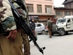 Kashmir: Sopore operation ends, two militants killed
