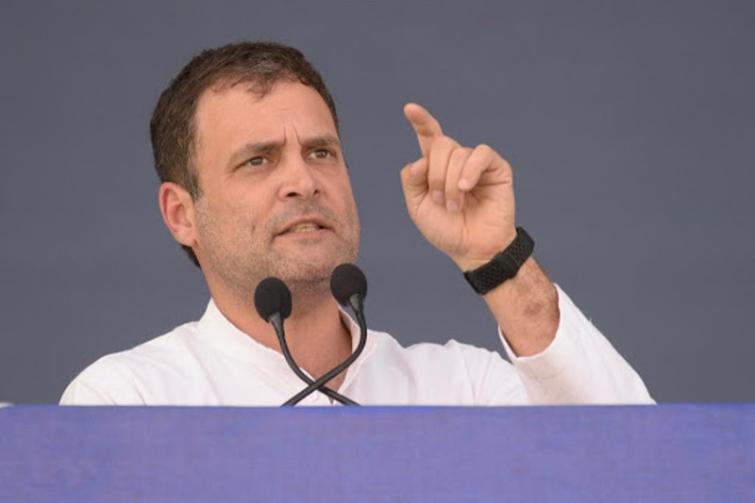 Rahul condemns murder of 2 Youth Congress activists in Kerala