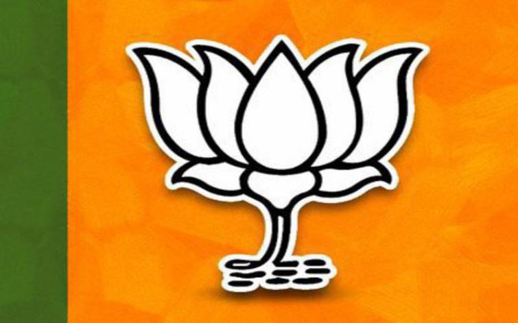 Embarrassment for BJP as party MP and MLA get into fight in Uttar Pradesh