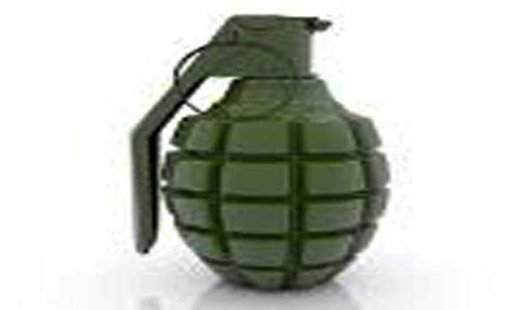 Kashmir: Grenade lobbed at NC leader's residence in Pulwama