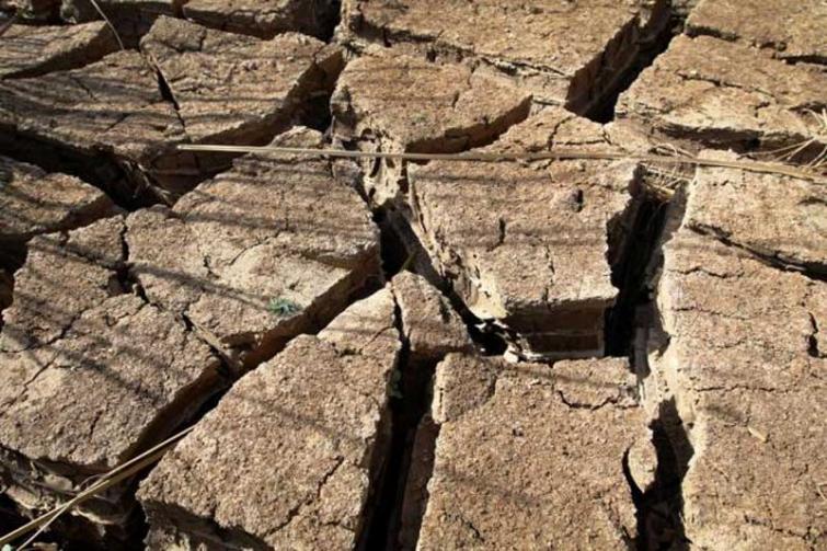 Heat stroke wreaks havoc in three districts of Bihar, toll rises to 56
