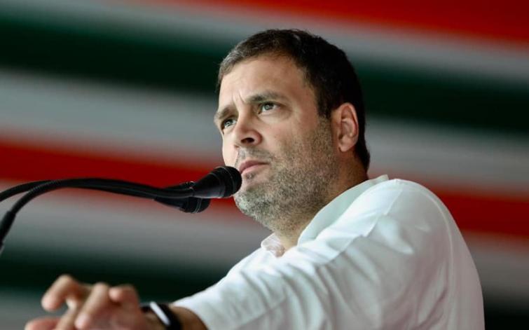 Contesting from Wayanad to send a message to south India: Rahul Gandhi 