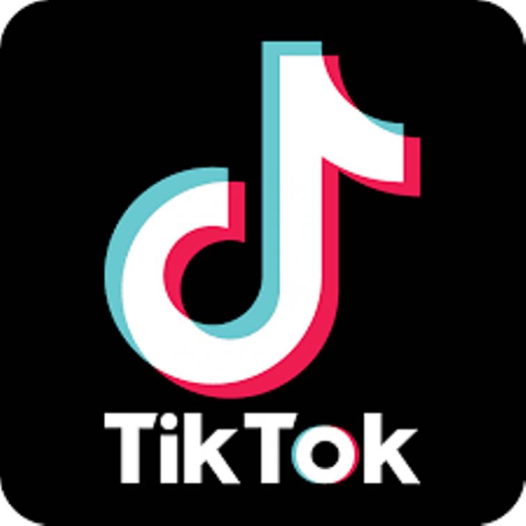 Several Tik-Tok videos of cops in Gujarat surface after suspension of lady constable
