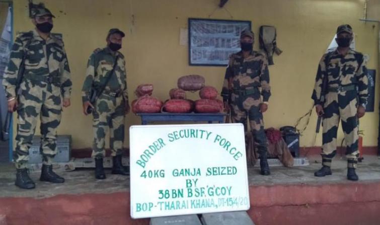 BSF seize 49 kg ganja from Assam-West Bengal border