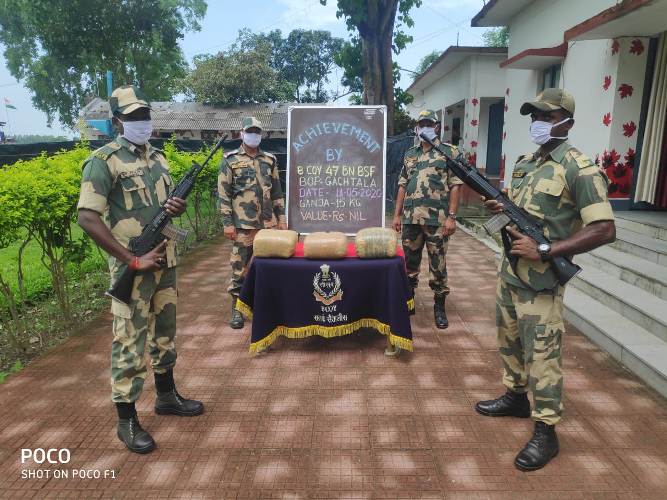 BSF seizes 30 kg ganja along Assam-West Bengal border
