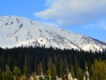 Jammu and Kashmir: Gulmarg receives snowfall