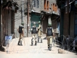 Two CRPF jawans, 1 civilian injured in grenade attack in Srinagar