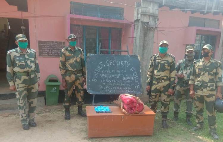 BSF seizes 4000 Yaba tablets and 4 kg Ganja along Indo-Bangladesh border