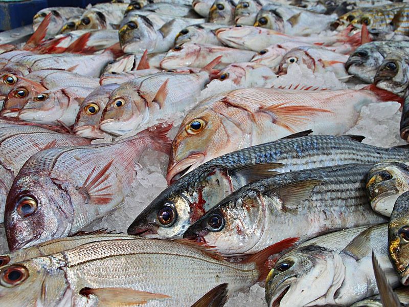 China halts fish imports from Indian firm after detecting coronavirus