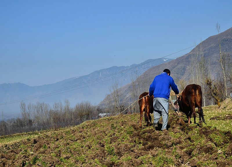 Jammu and Kashmir: Kathua farmers hail agriculture sector reform bills