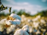 Pakistan to import of cotton, yarn, sugar from India