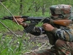 Kashmir: Two militants killed by security forces in Bandipora encounter