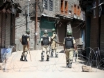 Security forces launch search operation in Kashmir's Krishna Ghati area