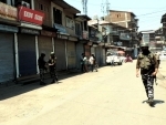 Jammu and Kashmir: Two unidentified terrorists die during Anantnag encounter