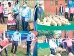 Sheep rearing units set up in Shopian, Kashmir