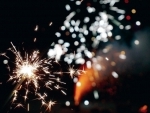 Haryana bans firecrackers in 14 districts near Delhi ahead of Diwali