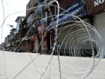 Jammu and Kashmir: Srinagar grenade attack leaves four civilians hurt
