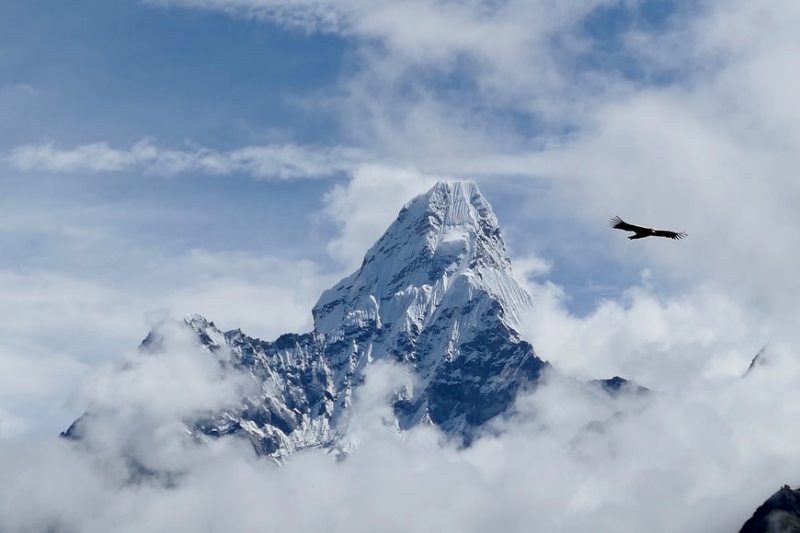11 trekkers dead in Uttarakhand's Lamkhaga Pass, massive Air Force rescue ops underway