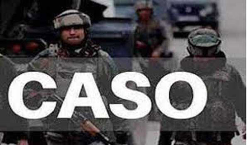 Jammu and Kashmir: Security forces launch CASO in south Kashmir’s Shopian
