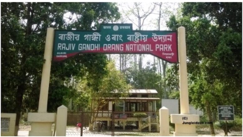 Rajiv Gandhi's name to be removed from national park in Assam's Orang