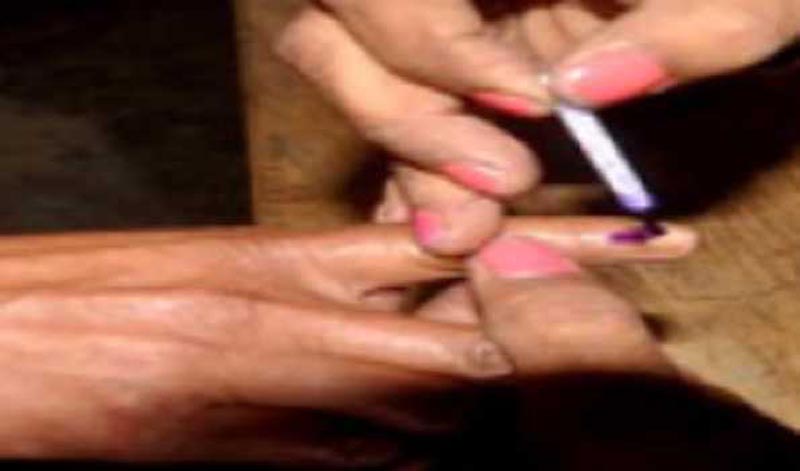 Voting for five municipal councils underway in Goa