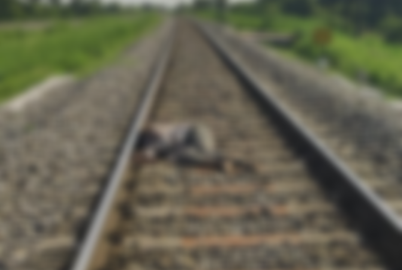 Hyderabad rape-murder case: Accused found dead on railway track, say Telangana Police