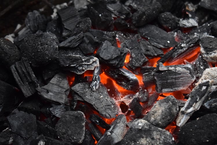 Coal India to import fuel for first time in years amid fear of more power outage: Report