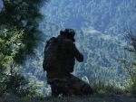 Kashmir: 42 militants killed in past three months, claim police